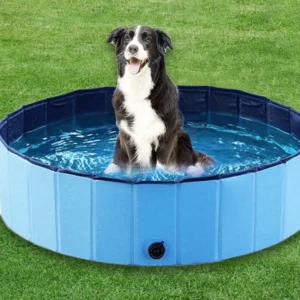 Dog Swimming Pool or Pool Cover