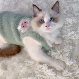 Pet Clothes for Winter