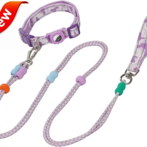 Dog Leash and Collar Set