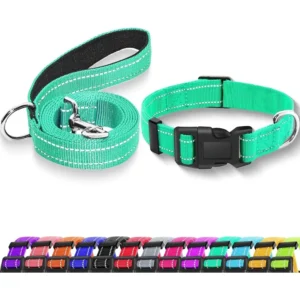Reflective Dog Collar & Leash Set – Adjustable, Soft Nylon with Safety Buckle (XS, 5/8" Width, Turquoise)