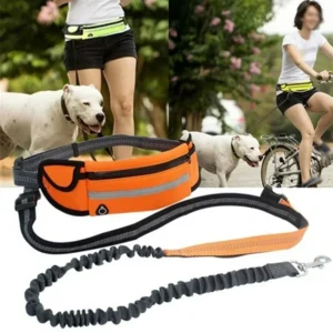 Hands Free Dog Leash with Zipper Pouch