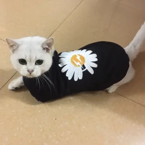 Summer Cool Cat Vest Shirt Fashion Print Pet Clothes for Cats Gotas Costume Puppy Dog Clothing Katten Sphynx Shirts Pullovers