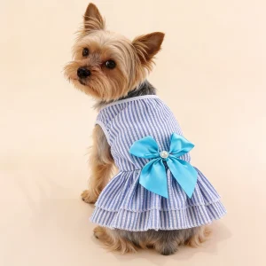Summer Small Dog Clothes