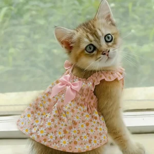 1pc Cat, Dog  Pet Dress
