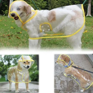 Dog Raincoat Transparent